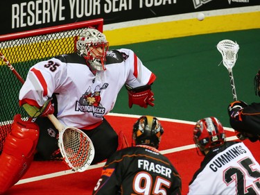 This Buffalo Bandits fire a shot on Calgary Roughnecks goaltender Christian Del Bianco during a National Lacrosse League game in Calgary on Saturday April 14, 2018.