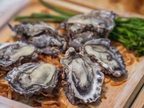 In this stock photo, raw oysters in shell sit on a wooden plate.