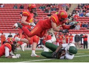 Boston Rowe of the Dinos pounces on a Huskies player during a playoff game at McMahon Stadium, in Calgary on Saturday, Nov. 5, 2016.