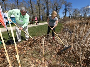 David Bloom, president of Ducks Unlimited,  joins Laureen Harper at a cleanup event at Pearce Estate Park in Calgary on Sunday, May 6, 2018.
