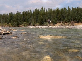 The clear, trout-filled waters of Waiparous Creek northwest of Cochrane , Alta., on Wednesday July 16, 2014. Mike Drew/Calgary Sun/QMI Agency