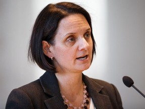 Children's Services Minister Danielle Larivee says an action plan to deal with systemic issues will be out by the end of the month.