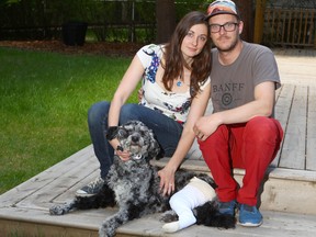 Rochelle and Jean-Michel Longval pose with their 15-month-old Aussiedoodle dog Geo in southwest Calgary on Sunday, June 17, 2018. Geo was injured on Monday when trapped in a snare in the Bebo Grove area of Fish Creek Park.