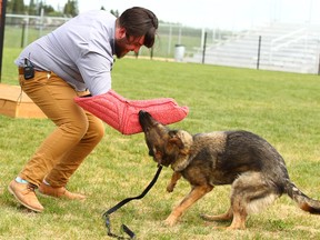 Postmedia Calgary reporter Zach Laing tests out a K9 Unit bite arm during a demonstration at the RCMP Police Dog Service Training Centre in Innisfail, AB, north of Calgary on Wednesday, June 13, 2018.  Jim Wells/Postmedia