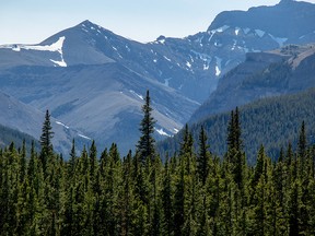 Snow on the peaks along Powderface Trail west of Calgary on Tuesday June 12, 2018.