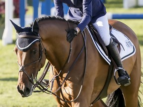 Molly Ashe of USA shows some love to her horse Cat Balou after a solid run in the RBC Capital Markets Cup on Day 3 of the Spruce Meadows 'National' Tournament at Spruce Meadows in Calgary, Alta., on Friday, June 5, 2015. National is the horse-jumping facility's first event of the summer season. Lyle Aspinall/Calgary Sun/Postmedia Network