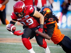 Calgary Stampeders Boston Rowe with a fumble against the BC Lions during CFL pre-season football in Calgary on Friday, June 1, 2018. Al Charest/Postmedia