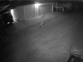 Calgary police have determined a residential fire in St. Andrews Heights last month was started by arson and are asking for the public's help to identify a person seen in the area.