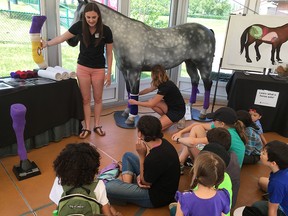 University of Calgary veterinary school students Antha Dietrich-Henderson, left, and Emma Jansen explain horse first aid to young visitors at Spruce Meadows.