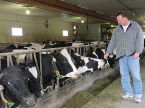 Albert Kamps gives a pat to one of his 140 milking cows.