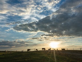 Sunset on the prairie near Crawling Valley west of Gem on Monday, June 18, 2018. Mike Drew/Postmedia