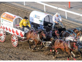 Chanse Vigen (right), driving for his dad, Mike Vigen, hit a barrel but but held off Chad Harden (left) to finish first in Saturday’s Heat 3 at the Calgary Stampede. Vigen’s time-fault, however, gave Harden the heat win and second on the day. Mike Drew/Postmedia