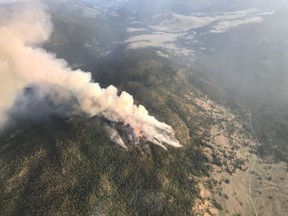 The Mount Conkle fire, burning southwest of Summerland, was bout 0.5 square kilometres in size on July 18. [PNG Merlin Archive]