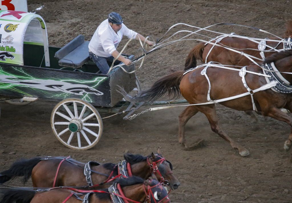 Chuckwagon driver Kris Molle making name for himself at Rangeland Derby Calgary Sun