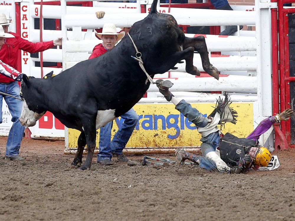 Saskatchewan teenager escapes serious injury in junior steer riding