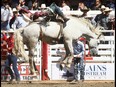 Richie Champion from Dublin, TX, wins the Bareback Championships on day 10 of the 2018 Calgary Stampede rodeo on Sunday July 15, 2018. Darren Makowichuk/Postmedia