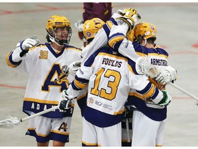 The Coquitlam Adanacs celebrate scoring on the Brampton Excelsiors during game 2 of the Minto Cup championship best of five series Thursday August 23, 2013. The original game was cancelled Wednesday after referees walked out over a controversy from the previous game.  Gavin Young/Postmedia