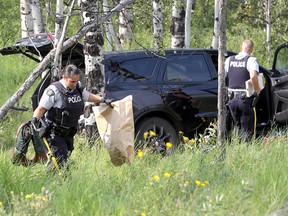 RCMP investigate after a motorist was shot while driving on Highway !a near Morley and than ended up in a cluster of trees on Thursday August 2, 2018. Darren Makowichuk/Postmedia
