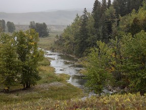 Willow Creek in the Porcupine Hills on Tuesday, September 18, 2018. Mike Drew/Postmedia