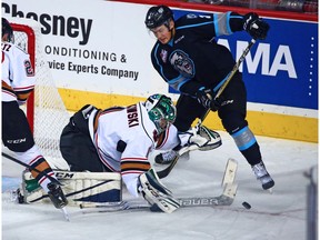 Calgary Hitmen goaltender Carl Stankowski reaches for a loose puck during preseason WHL action against the Kootenay Ice at the Saddledome in Calgary on Saturday September 15, 2018.  Gavin Young/Postmedia