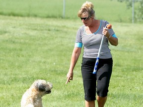 Calgary dog owner Jacqui Gislason walked her dog Kalie at the Cambrian Heights Dog Park on July 3, 2010. (Colleen De Neve / Calgary Herald)