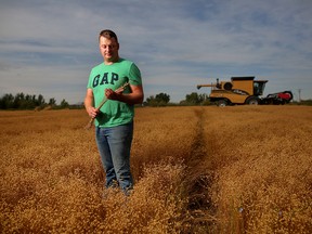 Sean Stanford poses for a photo in his field of flax on his farm near Magrath, Alta. on Sept. 11, 2018.