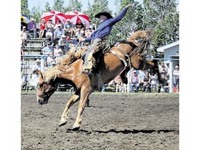 Dawson Hay of Wildwood, Ab, rides Aberfeen Acres during the Saddle Bronc event at the Hand Hills Lake Stampede on June 2 in Hand Hills, Alta. Jackie Irwin/Hanna Herald/Postmedia