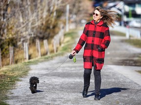 Lennore Johnson walks her daughter's dog, Rza, on a windy fall day in Calgary, on Friday, Oct. 12, 2018.