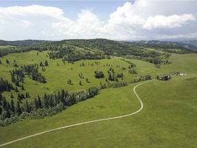 White Moose Ranch.