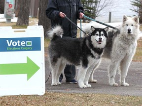 Lorne Rideout waits with his malamute dogs Max and Miko during the Olympic plebiscite vote at Renfrew Community Association in northeast Calgary on Tuesday, November 13, 2018. Jim Wells/Postmedia