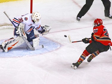 Calgary Hitmen forward Kaden Elder scores on Kamloops Blazers goaltender Dylan Garand to claim the first goal in the Brick Teddy Bear Toss game at the Scotiabank Saddledome on Sunday, December 9, 2018.