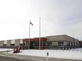 Auburn Bay School in Calgary, on Tuesday January 15, 2019. Leah Hennel/Postmedia