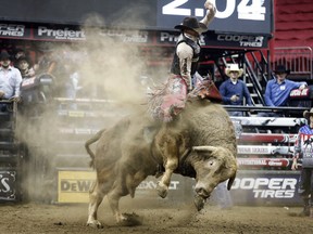 FILE - In this Feb. 11, 2017 file photo, Mason Lowe rides Cochise during a Professional Bull Riders event at the Sprint Center in Kansas City, Mo. Lowe died Tuesday, Jan. 15, 2019, after a bull stomped on his chest during a PBR chute-out competition at the National Western Stock Show in Denver. (AP Photo/Colin E. Braley, File)