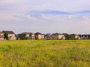 Homes backing on to green space in Ranchers' Rise.  Photo supplied