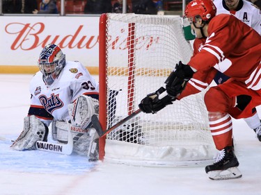 The Calgary Hitmen's Mark Kastelic goes for a wrap around shot on Regina Pats goaltender Max Paddock during WHL action in The Corral Series on Wednesday February 6, 2019. The Hitmen wore Calgary Cowboys jerseys for the game.