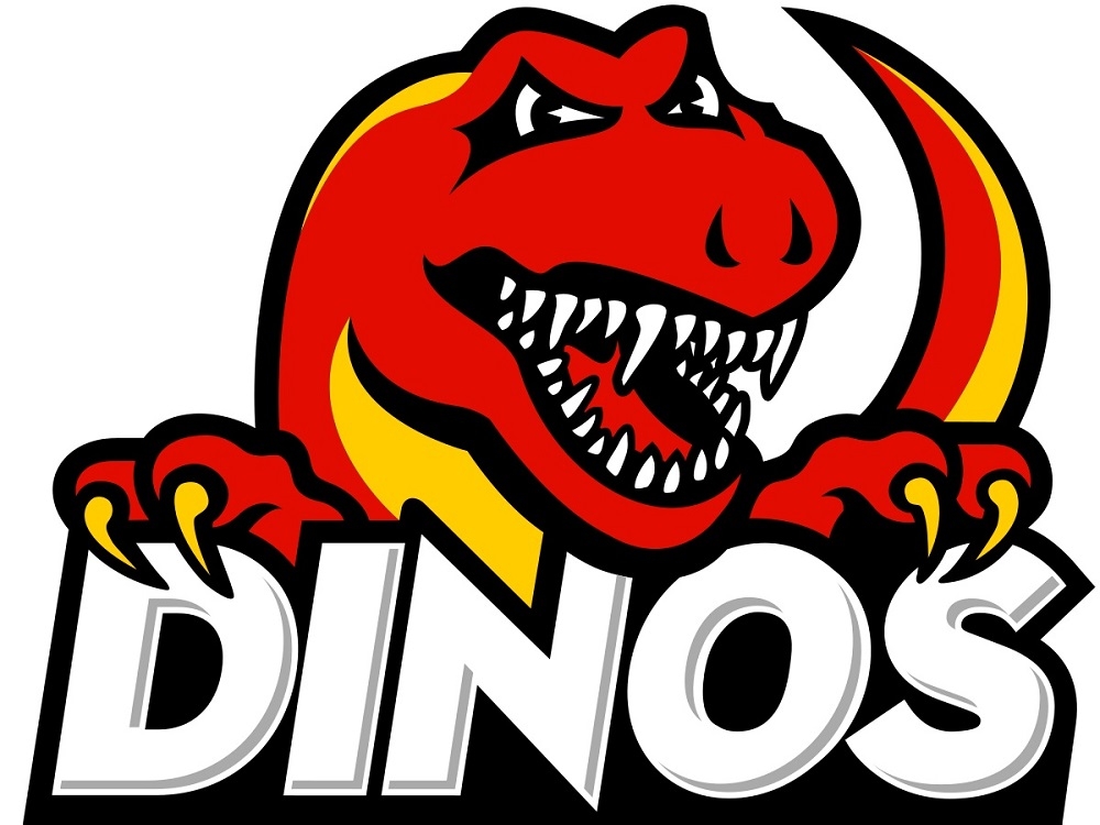 Calgary Dinos drop second match at women's volleyball nationals