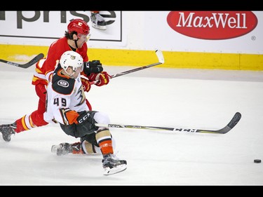 The Calgary Flames James Neal and the Anaheim Ducks'  Max Jones race for the puck during NHL action in Calgary on Friday, March 29, 2019.