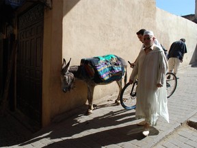 Photo by Irena Karshenbaum, Handout MOROCCO, : September 07, 2009-It's called a "Fes Taxi" and it goes where no cars have gone before. It transports goods and people through the narrow streets of the Medina of Fes, Morocco. (ONE TIME USE ONLY) Photo by Irena Karshenbaum, Handout  (For Travel  section story by Irena Karshenbaum)