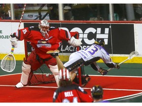 Calgary Roughnecks goalie, Christian Del Bianco gets scored on by San Diego Seals, Garrett Billings in National Lacrosse Leagure action at the Scotiabank Saddledome in Calgary on Saturday, March 30, 2019. Darren Makowichuk/Postmedia
