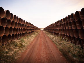 A file photo shows unused pipes, prepared for the proposed Keystone XL oil pipeline, sit rusting in North Dakota.