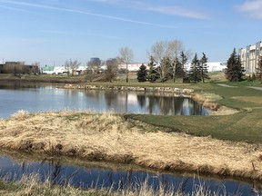 The city-run McCall Lake Golf Course.