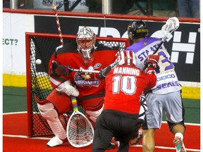 Calgary Roughnecks goalie, Christian Del Bianco is scored on by San Diego Seals, Austin Staats in National Lacrosse Leagure action at the Scotiabank Saddledome in Calgary on Saturday, March 30, 2019. Darren Makowichuk/Postmedia