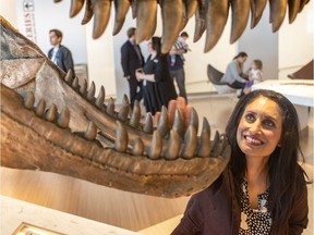 Self-confessed Albertosaurus fan, Leela Aheer, Minister of Culture, Multiculturalism and Status of Women, checks out the teeth on a life-sized bronze sculpture of an Albertosaurus at the opening of the new Learning Lounge at the Royal Tyrrell Museum in Drumheller on Friday, June 28, 2019.