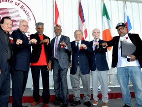From left to right, International Boxing Hall of Fame Class of 2019 inductees : Teddy Atlas, Don Elbaum, Lee Samuels, Julian Jackson, Donald Curry, Tony DeMarco, Guy Jutras and Buddy McGirt display their IBHOF rings during the induction ceremony  Sunday, June 9, 2019, in Canastota, N.Y. ( John Brewer/Oneida Dispatch via AP)