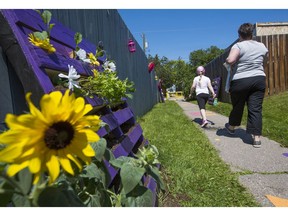 Residents take part in a scavenger hunt art on the newly revitalized Marlborough catwalks on Saturday. Photo by Gavin Young/Postmedia.