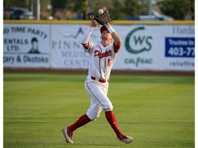 The Okotoks Dawgs' Matt Lloyd catches a fly ball during playoff action against the Edmonton Prospects at Seaman Stadium in Okotoks on Saturday August 5, 2007. Gavin Young/Postmedia