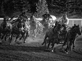 Chuckwagons coming around the second turn on Tuesday, July 9, 2019. Mike Drew/Postmedia