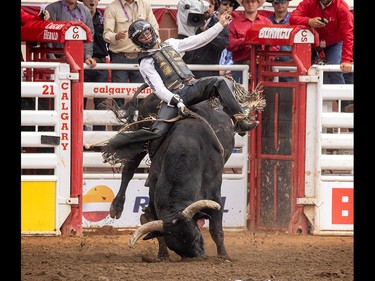 Sage Steele Kimzey of Strong City, Ok., won Bull Riding on Night Moves at the Calgary Stampede in Calgary, Ab., on Sunday July 14, 2019. Mike Drew/Postmedia