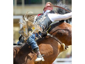 Airdrie's Jake Vold rides Mile Away to a score of 86 points in Day 2 of the Calgary Stampede rodeo bareback event on  Saturday. Photo by Al Charest/Postmedia.