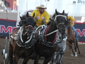 Heat 8 Chuckwagon Driver Evan Salmond and his horse are seen at the start of Heat #8 in GMC Rangeland Derby at the Calgary Stampede on Sunday, July 14, 2019. Brendan Miller/Postmedia